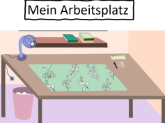 Mein Arbeitsplatz