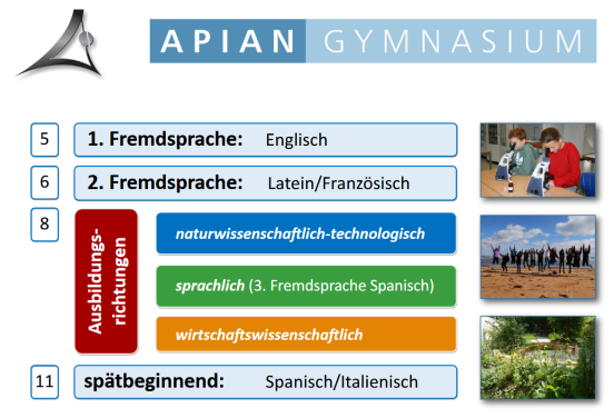 Fremdsprachen und Zweige am Apian-Gymnasium