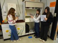 Klasse 6d des Apian-Gymnasiums Ingolstadt