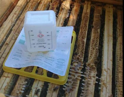 Ameisensäurebehandlung im August