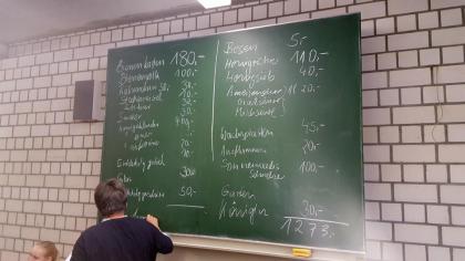 Kosten für das Bienenvolk