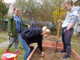 Hochbeet im Schulgarten