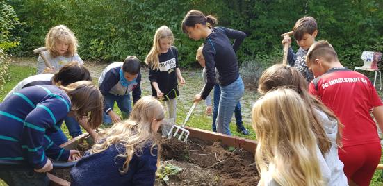 Kartoffelernte im Herbst 2020