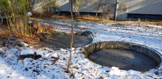 und die Molche, die im Sommer in den kleinen Tümpeln wohnen rührten sich nicht