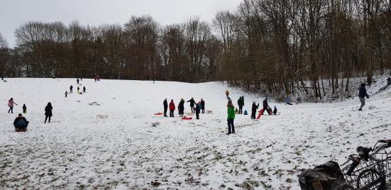 Schneeballschlacht im Luitpoldpark
