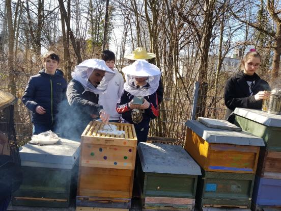 Futterteig für ein Ablegervolk im Frühjahr