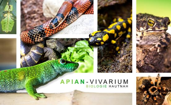 Vivarium am Apian-Gymnasium