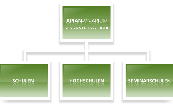 APIAN-Vivarium - Vernetzung
