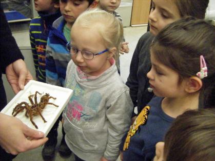 Besuch im Vivarium