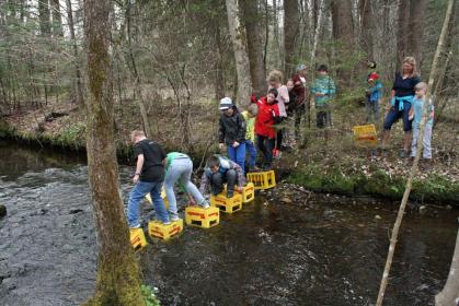 5. Klassen im Schullandheim