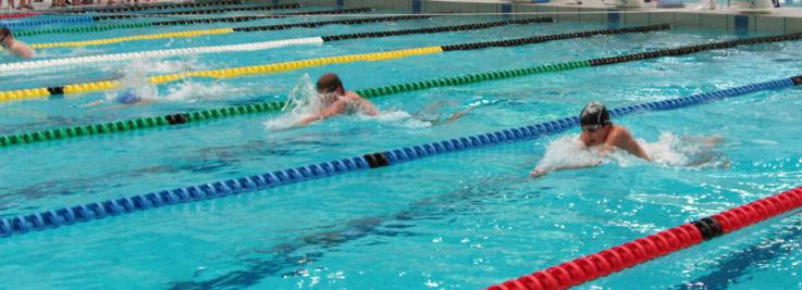 Schwimmen - Landesfinale