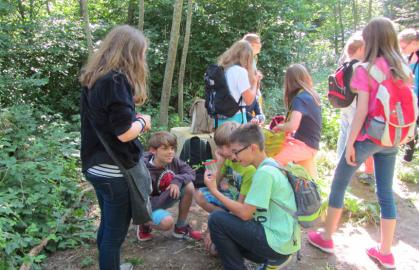 Exkursion zum Auwald