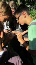 Exkursion zum Auwald