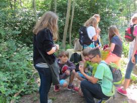 Exkursion zum Auwald