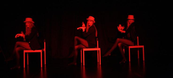 An dieser Stelle ein großes Dankeschön an das Technikteam, welches diesen reibungslosen Ablauf der Show ermöglichte. Bereichert wurde das Programm auch durch zahlreiche Gastauftritte von Schülern, die ihr Können in Gesang und Tanz unter Beweis stellten. Die verschiedenen Beiträge übertrafen sich an Kreativität, wobei besonders der Auftritt zu Südkorea jeden zum Schmunzeln brachte. Wussten Sie, dass die Flamingos dort liebend gerne zu „Gangnam Style“ tanzen?