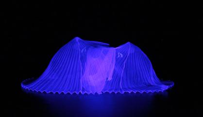 P-Seminar: Schwarzes Theater