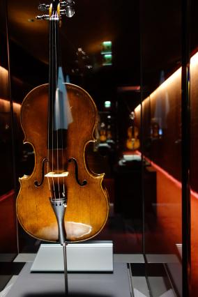 Comenius Meeting in Italy