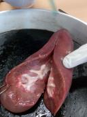 Sezieren im Biologieunterricht