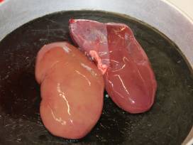 Biologie in der 10 b