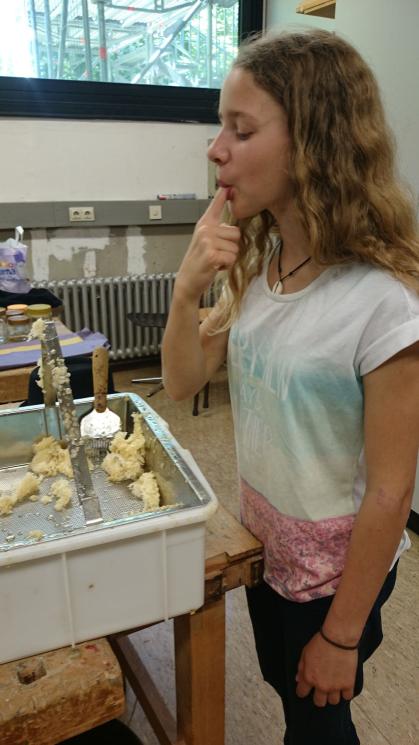 Bienen im Schulgarten