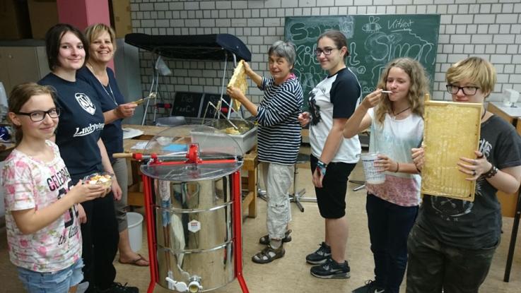 Bienen im Schulgarten