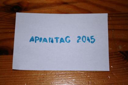 Drucken mit Suppennudeln