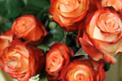 Valentinstag am Apian