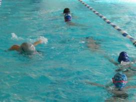 Bezirksfinale Schwimmen