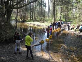 Brücken bauen, Tiere suchen, nasse Füße bekommen...