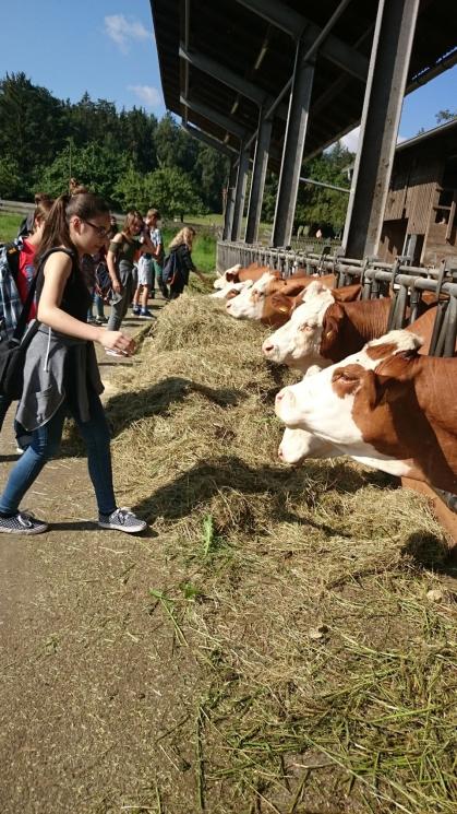 Exkursion nach Plankstetten