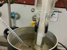 Schülerpraktikum des JungChemikerForums