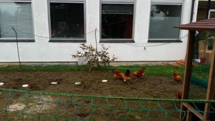 Begegnung mit lebenden Tieren im Unterricht