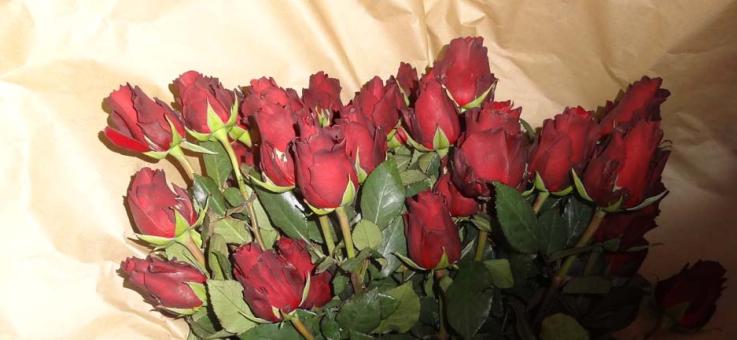 Valentinstag am Apian-Gymnasium