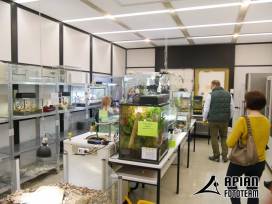 Auf Entdeckungsreise durch unser Schulhaus