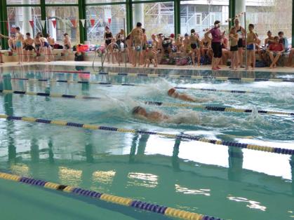 Erfolgreiche Schwimmerinnen und Schwimmer im Bezirksfinale