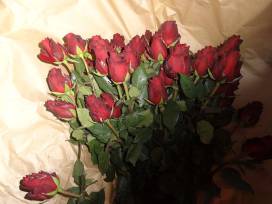 Valentinstagsaktion der SMV 