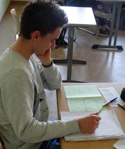 Känguru-Wettbewerb 2017