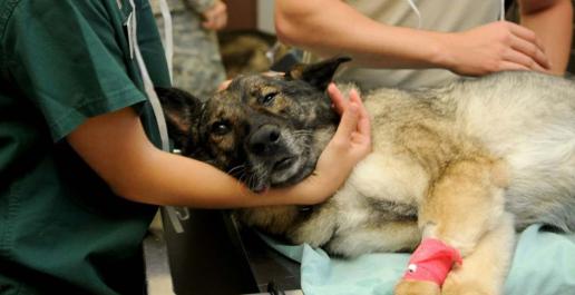 Betriebspraktikum der 9. Jahrgangsstufe