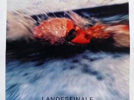 Leistungssteigerung im Landesfinale Schwimmen