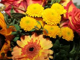 Französischer Schüleraustausch im Jubiläumsjahr