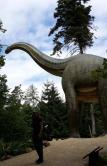 Brachiosaurus