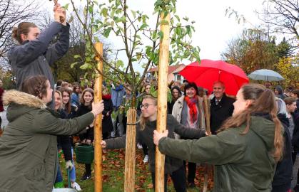 Apfelbaumaktin zum 500. Reformationsjubiläum
