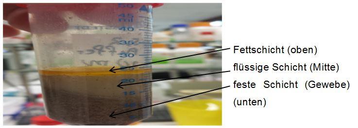 Fraktion mit drei Schichten
