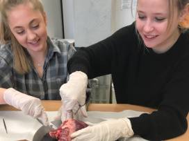 Herzensangelegenheiten