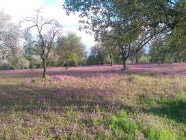 ErasmusPlus-Projekttreffen