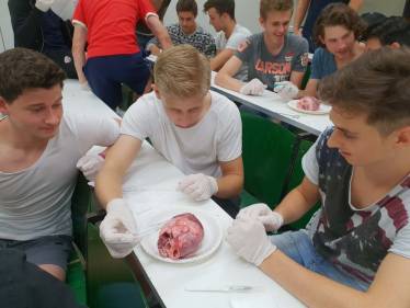 Einmal fühlen wie ein Arzt