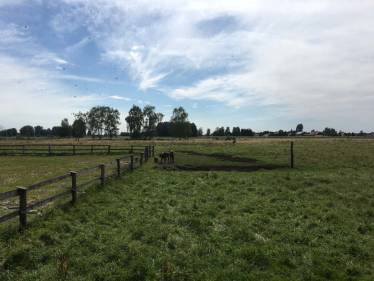 Interessante Informationen im Haus im Moos