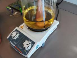 Und was kommt nach dem Abitur?