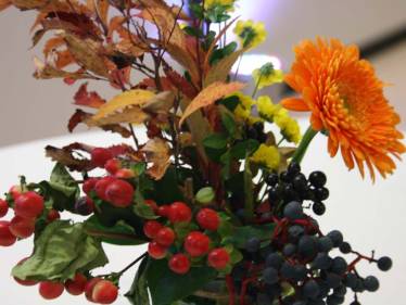 „Einmal Apianer – immer Apianer!“