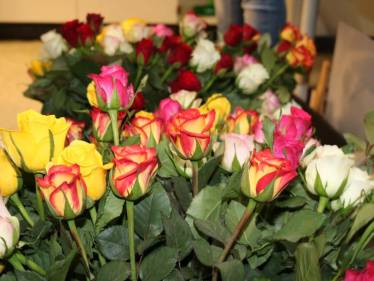 SMV Valentinstagaktion 2019